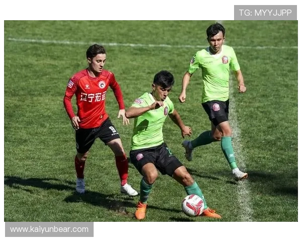 开云体育平台评价：分析平台的技术保障措施与数据安全保障的实际效果